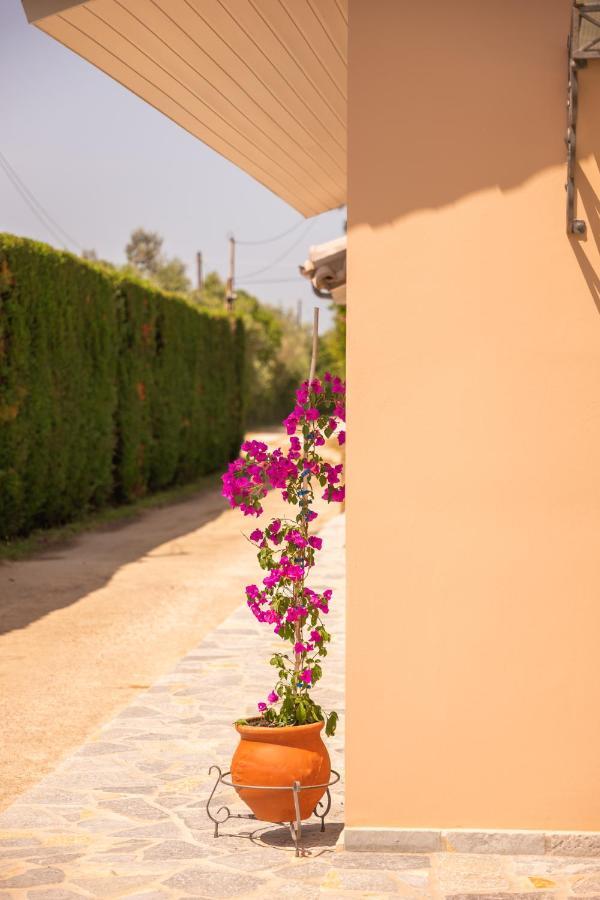 Kourouta Villas Amaliada Екстер'єр фото